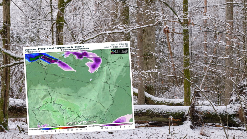 W piątek zimowa pogoda pojawi się głównie na północy