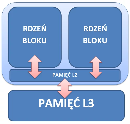 Schemat bloku Bulldozer. Każda jednostka składa się z dwóch rdzeni fizycznych oraz pamięci podręcznej o rozmiarze 2 MB. Pamięć L3 oraz kontroler DDR3 są współdzielone przez wszystkie bloki.