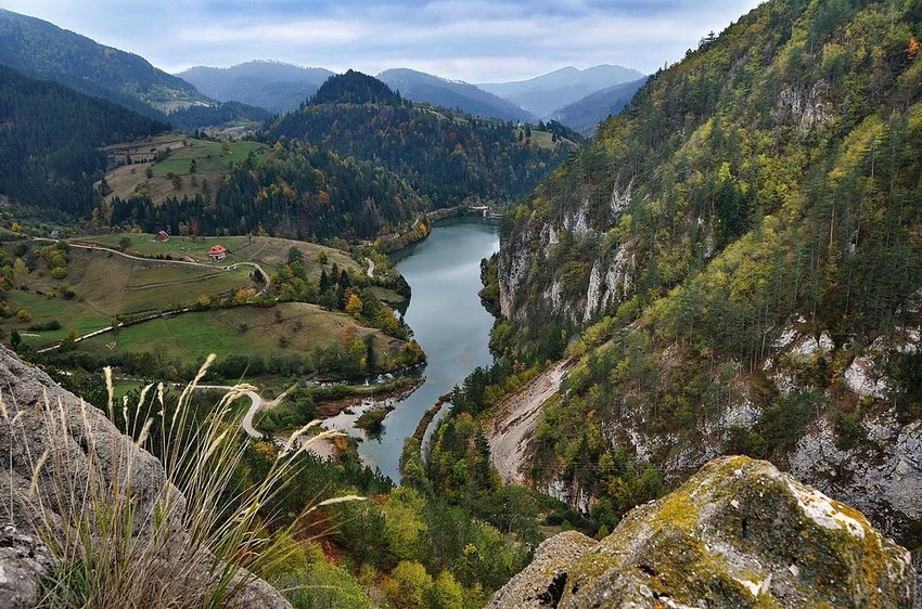 Tara foto Wikipedia Vladimir Mijailović