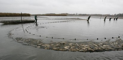 Bronią Stawów Milickich. "Bo podzielą los Puszczy Białowieskiej"