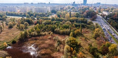 W katowickich dzielnicach powstaną nowe parki miejskie