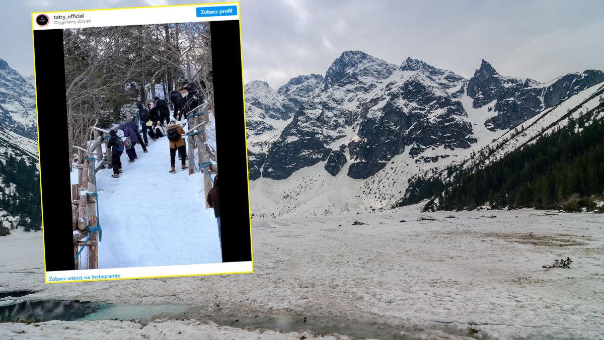 Pokazali wideo z Tatr. Turyści w adidasach ślizgają się na oblodzonym szlaku