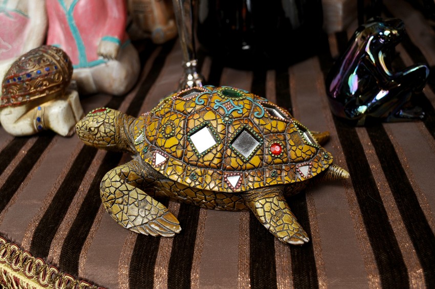 Milica Milša i Žarko Jokanović, dom