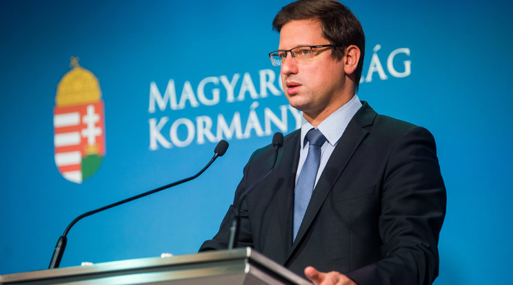 Gulyás Gergely, a Miniszterelnökséget vezető miniszter / Fotó: MTI/Balogh Zoltán