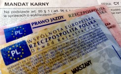 Prawo jazdy niepotrzebne, tablica rejestracyjna na całe życie. Rząd zmienia przepisy