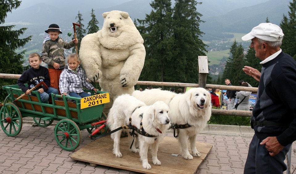 ZAKOPANE WAKACJE GUBAŁÓWKA TURYŚCI