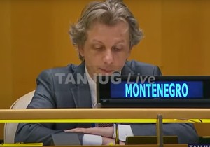 Predstavnik Crne Gore Damir Šabanović 