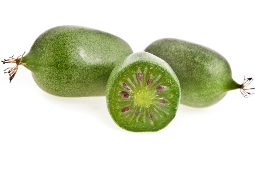 kiwi