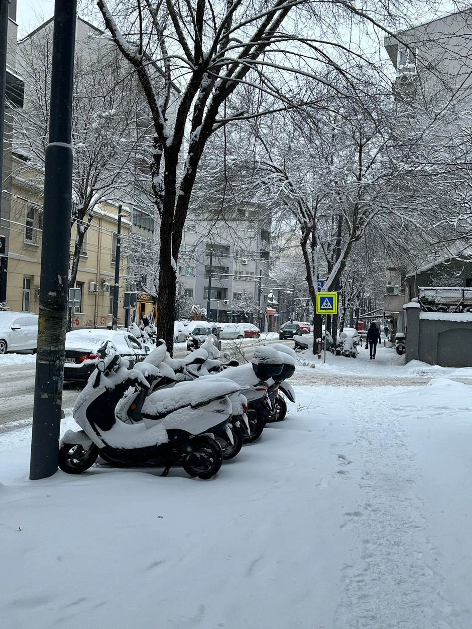 Sneg u Beogradu, Dorćol