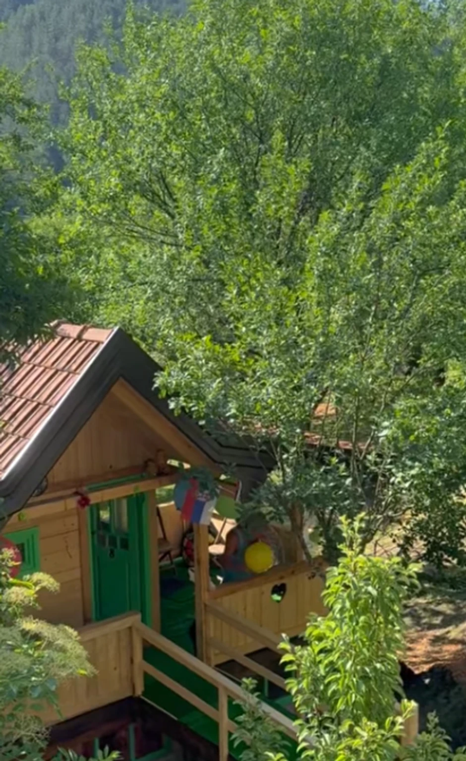 Nina Janković na imanju 