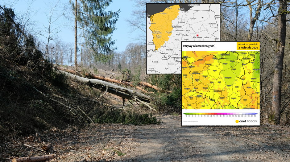 Wichury nie dają spokoju Polsce. Są nowe alerty IMGW przed wiatrem (mapy: IMGW, meteologix.com)