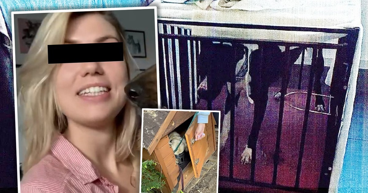 Głodzone i trzymane w ciasnych klatkach. Znana influencerka z Poznania oskarżona o znęcanie się nad psami