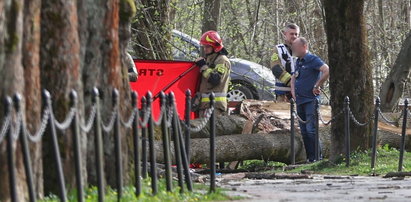 Tragedia w Rabce. To był ostatni spacer pani Haliny. Runęło na nią drzewo