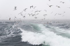 Niewypowiedziana wojna morska Rosji z Ukrainą. 'Doskonale widać to na Morzu Azowskim'