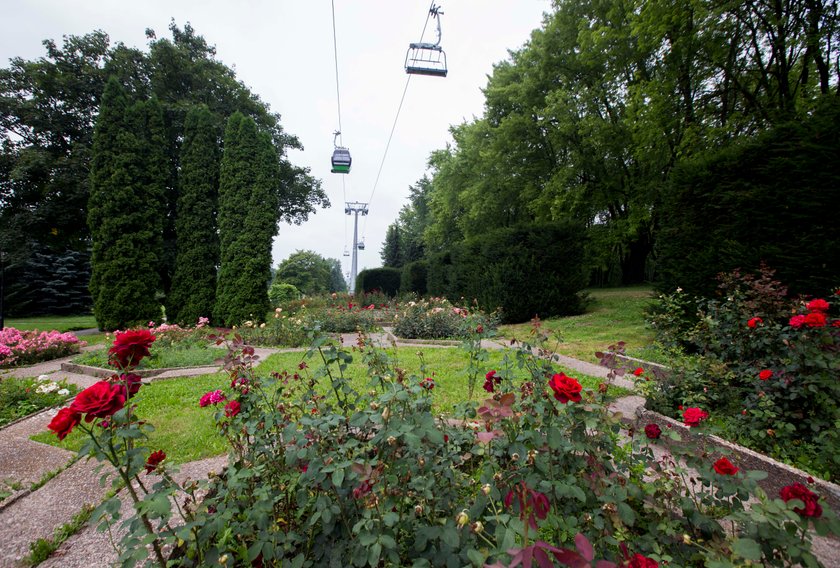 Rosarium w Parku Śląskim