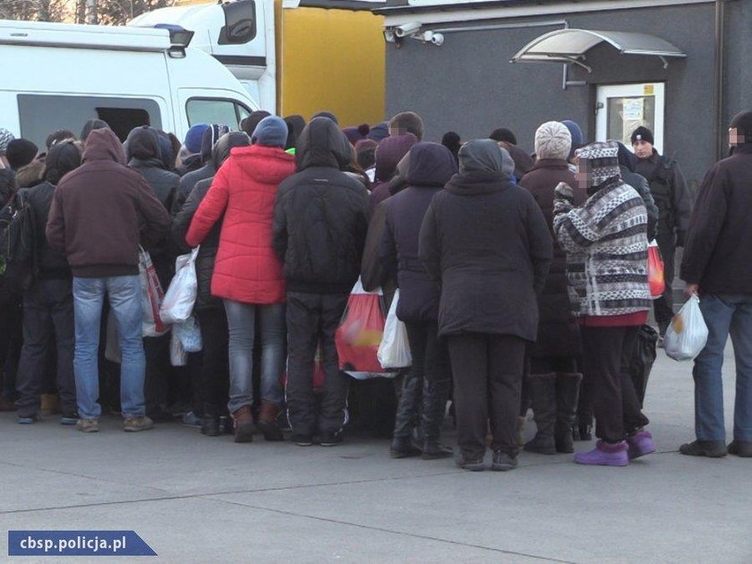 Policja skontrolowała ubojnię w Kutnie, która była przykrywką do wyłudzeń VAT