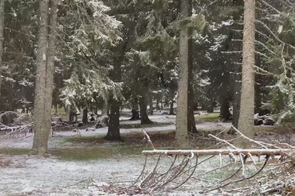 SNEG NA GOLIJI Meštani kažu da ovde nekad veje i u maju, a pogledajte kao to izgleda sada (FOTO, VIDEO)