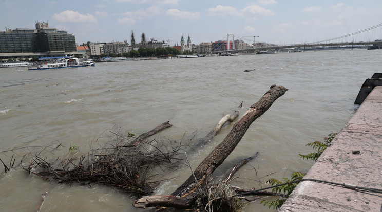 Magas a Duna vízállása Budapestnél / Fotó: Grnák László