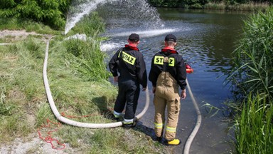 Wędkarze przerażeni. Ponad tona śniętych ryb. "Sytuacja jest tragiczna"