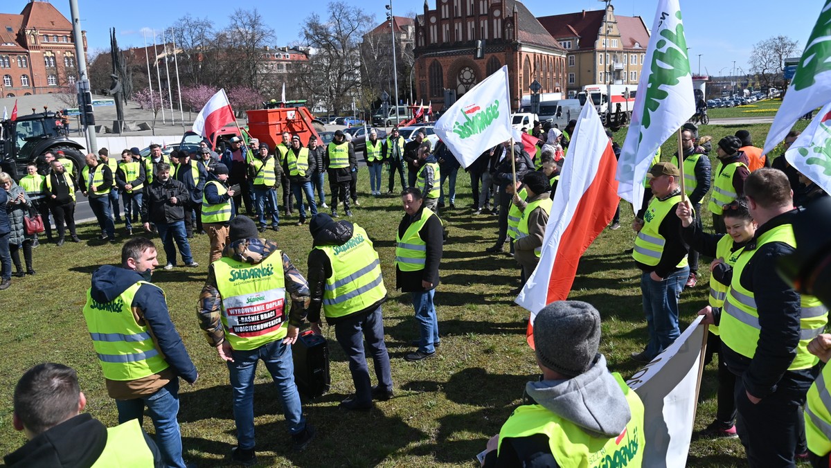 Bez badań trafiło do użytku. Co jest w ukraińskim zbożu?