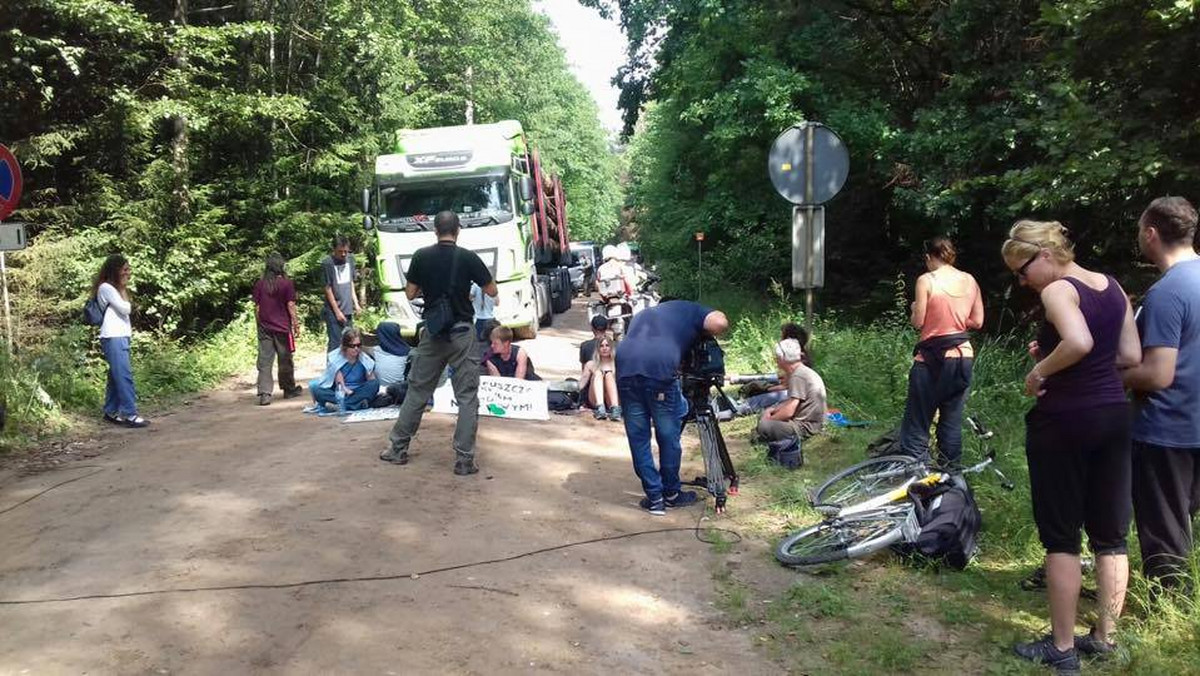 Policja i Straż Leśna przygotowały się do pacyfikacji blokady urządzonej przez ekologów na leśnej drodze z Teremisek do Białowieży. Likwidacja blokady, jak tłumaczyli funkcjonariusze, miała na celu udrożnienie przejezdności drogi. Jednak w ostatniej chwili funkcjonariusze odstąpili od zamiaru usunięcia ekologów siłą. Ciężarówki ze świerkami, które blokowali aktywiści, znalazły objazd.