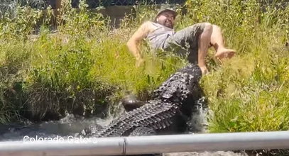 Mężczyzna uciekł sprzed paszczy gigantycznego aligatora. Jest nagranie!