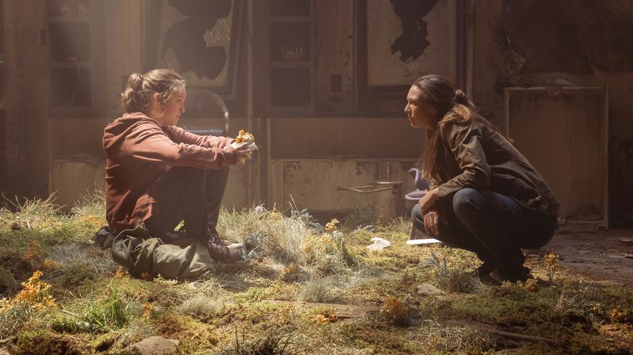 Scena z serialu „The Last of Us”. Grzyby, które w serialu (a wcześniej grze) sprowadziły ludzkość na skraj wymarcia, w rzeczywistości należą do najdroższych grzybów na świecie.