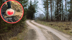 Leśnicy pokazali, co znaleziono w lesie. Rzadki widok. Mało kto ma tyle szczęścia