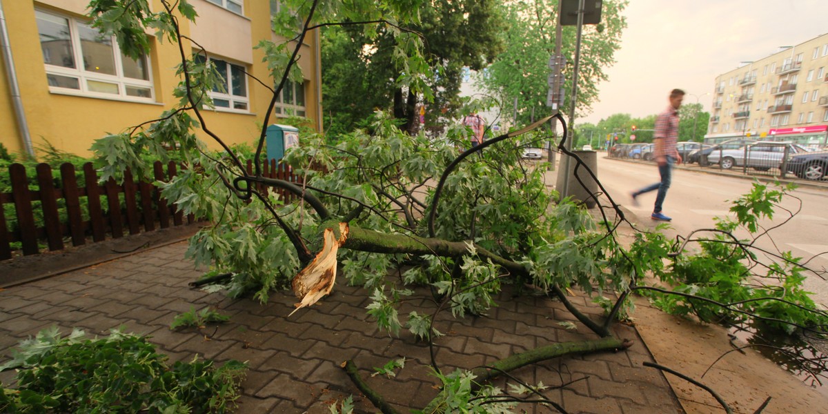 Warszawa po nawałnicy