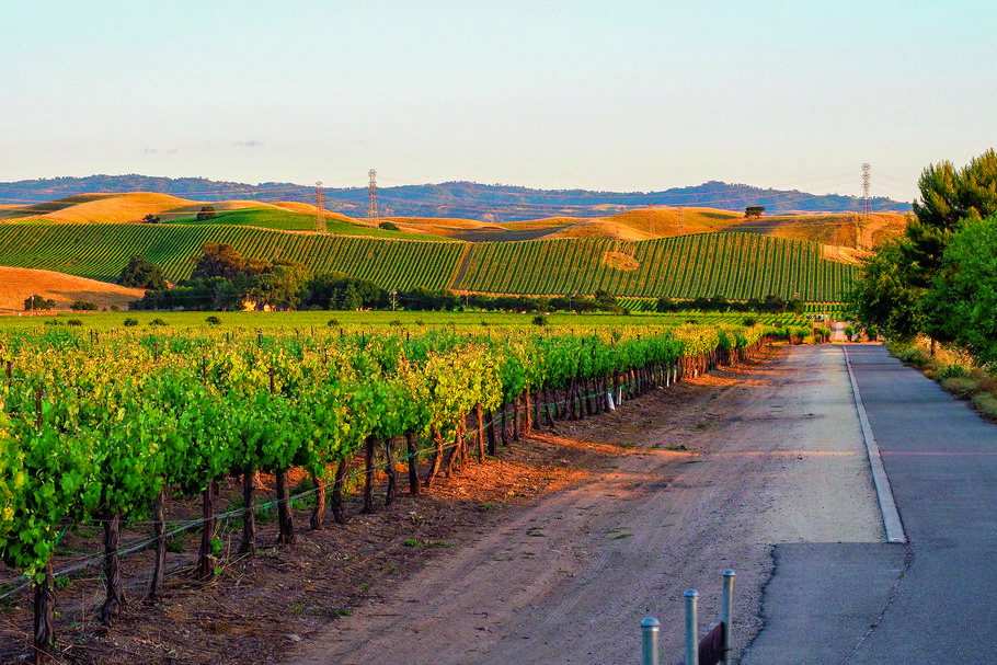 „Zastanawiamy się, jak wesprzeć lokalnych mieszkańców, jak rozwijać branżę winiarską w regionie, wreszcie jak uczynić z Kalifornii jeszcze lepsze miejsce do życia” – podkreśla Niki Wente