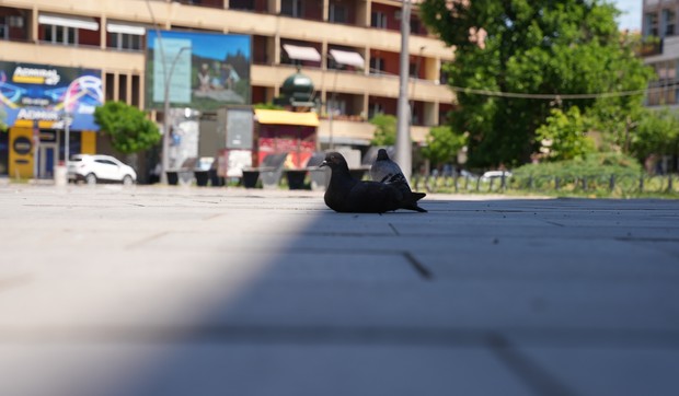 Čačak