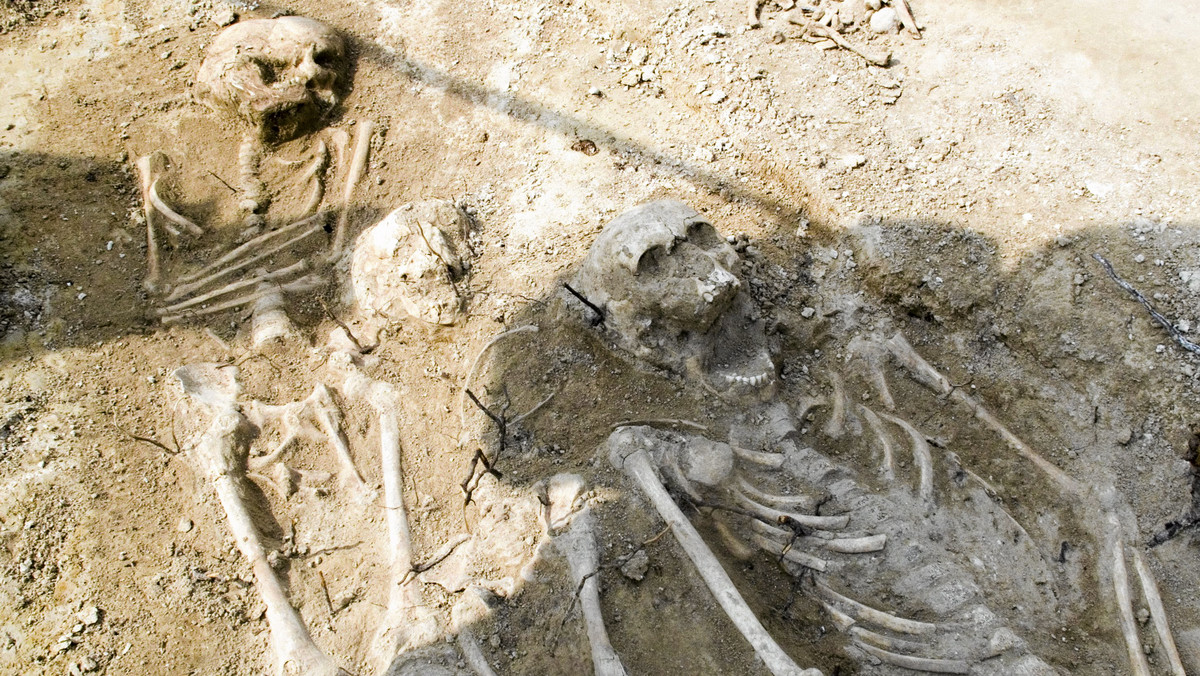 Około 50 ludzkich szkieletów z cmentarzyska z XVII-XVIII wieku znaleźli archeolodzy podczas budowy drogi S8 Białystok-Warszawa w okolicach wsi Pajewo, 19 km od Białegostoku.