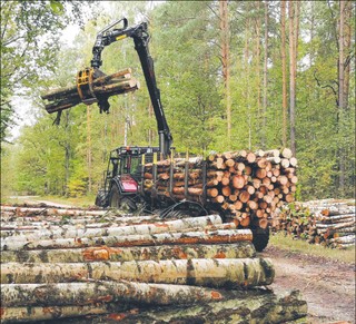 Spór wokół kontroli nad Lasami Państwowymi. Kiedy społeczeństwo będzie mogło skarżyć PUL-e do sądu?