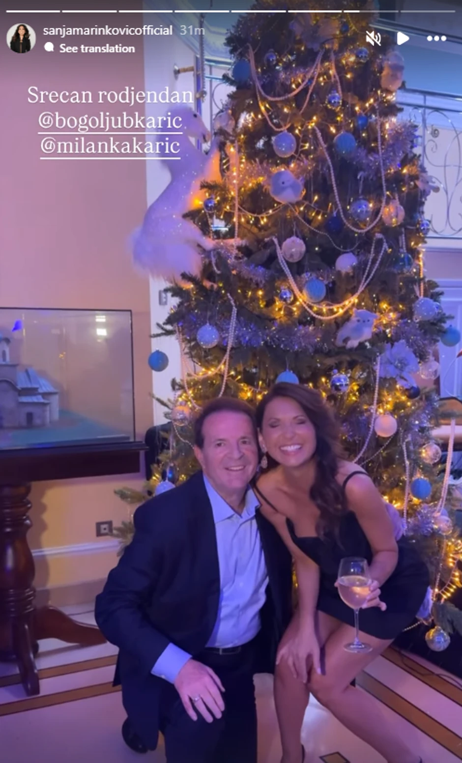 Sanja Marinković i Bogoljub Karić