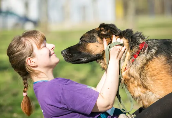 Wolontariuszka z Palucha o covidowych adopcjach i o tym, jak pandemia zmieniła życie w schronisku