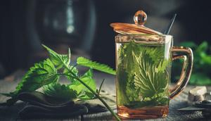 There are quite a lot of benefits from drinking nettle tea [Shutterstock]