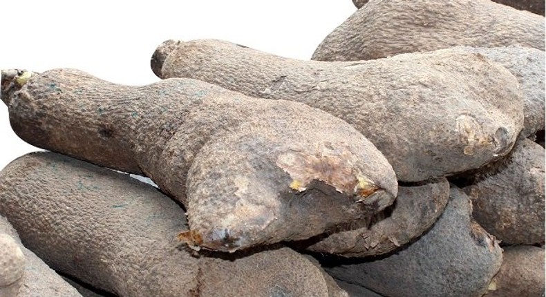 Tubers of yams in Abuja market