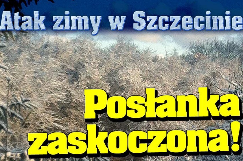 Atak zimy w Szczecinie. Posłanka zaskoczona!