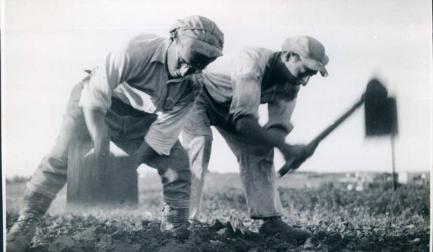 farmeri Wikipedia