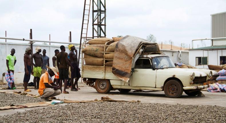 Benin is finding new ways of squeezing profit from cashew nuts