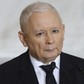 Prezes PiS Jarosław Kaczyński