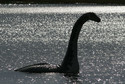 Nessie, czyli potwór z Loch Ness