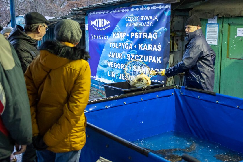 Jak wybrać dobrego karpia na święta, by nie śmierdział mułem?