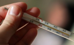 Toksoplazmoza: Jak można się zarazić? Jakie ma objawy? Jak się ją leczy?