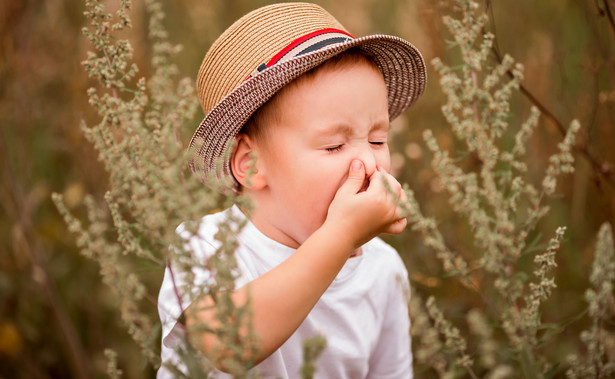 Niemowlęta narażone na kontakt z zanieczyszczonym powietrzem są narażone na rozwój alergii i otyłość