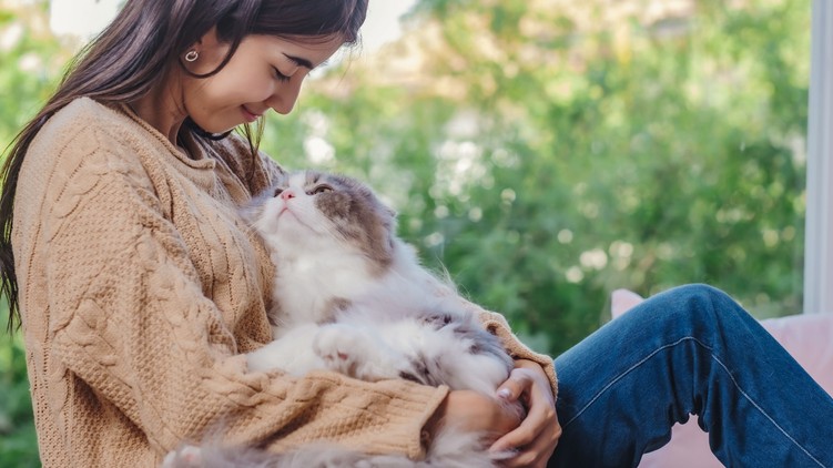 macska dorombolás gyógyító hatás stressz