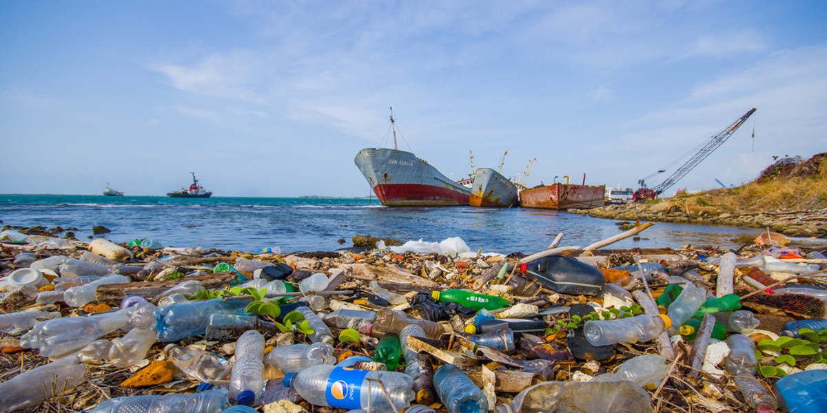 Platforma IPBES to Międzyrządowa Platforma ds. Różnorodności Biologicznej i Funkcji Ekosystemu. Przygotowała ona globalny raport "The Global Ecosystem Assessment", który dotyczy różnorodności biologicznej.