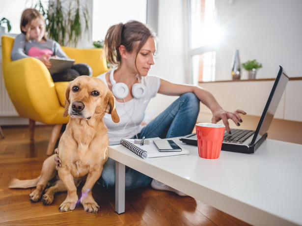 Izolacja i home office nie takie straszne? Polacy mają asa w rękawie!