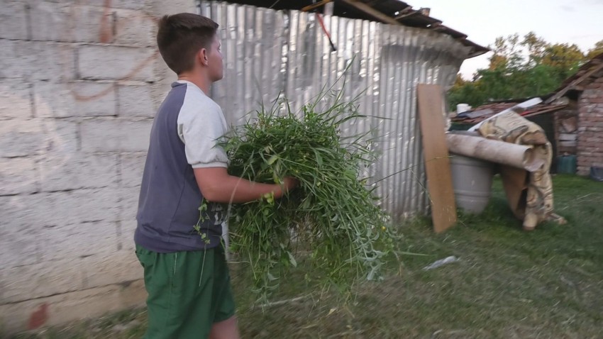 Radoje Đokić iz čačanskog sela Katrga