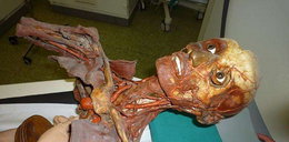Włoskie mumie. Przetrwały 200 lat, bo... ZDJĘCIA OD 18 LAT!